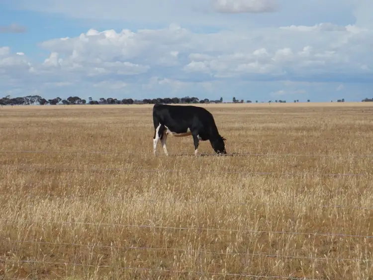 Sixth view of Homely rural property listing, "Purapooka" Southdown Road, Deniliquin NSW 2710