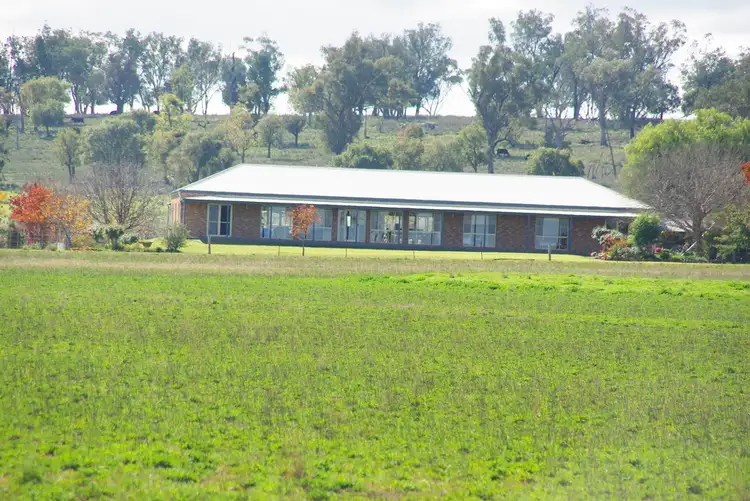 Main view of Homely rural property listing, 372 Kurrajong Road, Binnaway NSW 2395