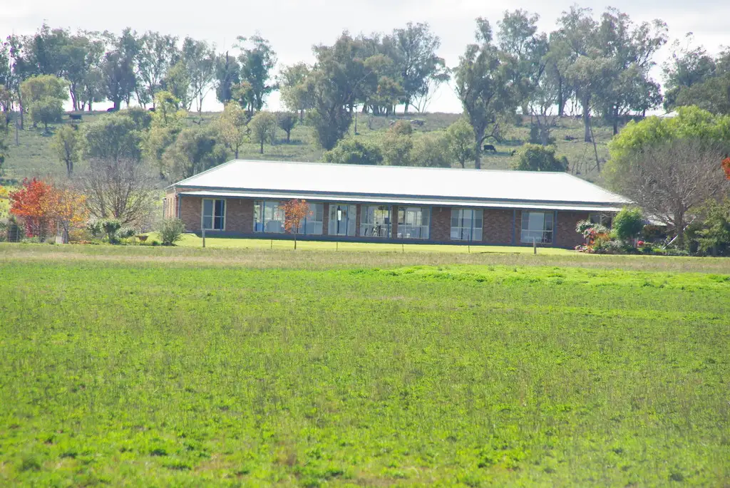 Main view of Homely rural property listing, 372 Kurrajong Road, Binnaway NSW 2395