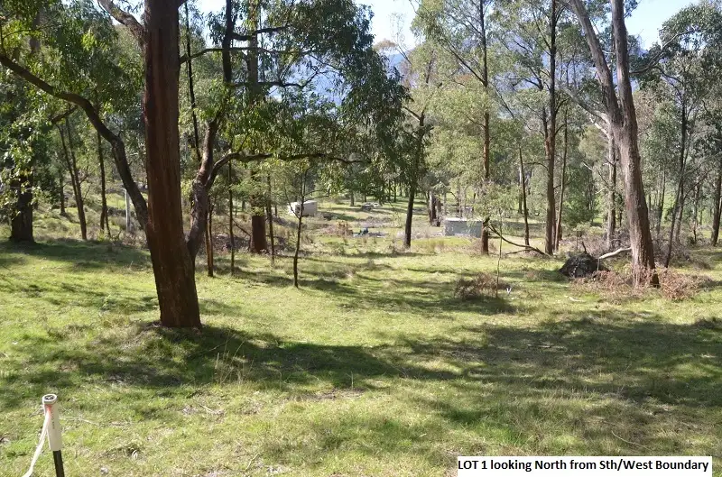 Main view of Homely land listing, 42 (Lot 1) Diggings Road, Tawonga VIC 3697