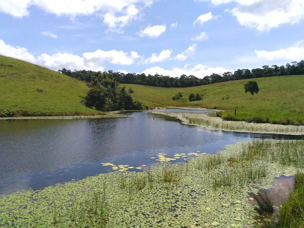 Main view of Homely rural property listing, Address available on request