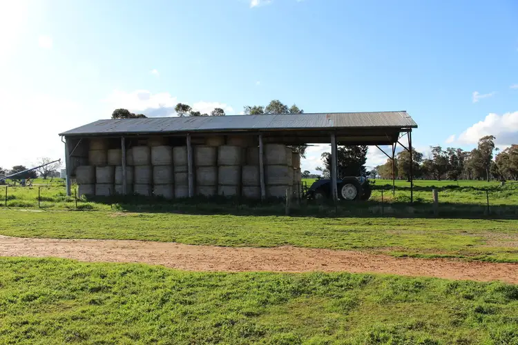 Second view of Homely rural property listing, 2466 Mulwala / Corowa Road, Mulwala NSW 2647