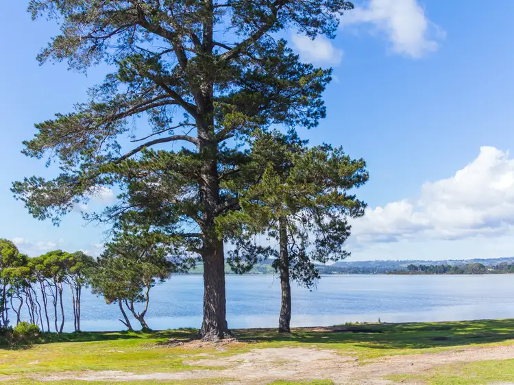 Main view of Homely house listing, 5 Swan Point Esplanade, Swan Point TAS 7275