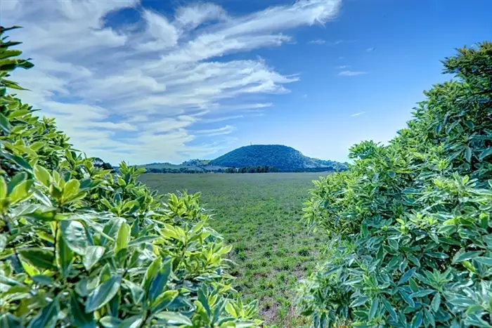 6650 Midland Hwy, Buninyong VIC 3357