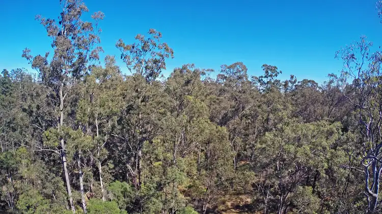 Fifth view of Homely rural property listing, 2410 Bungawalbin-Whiporie Road, GIBBERAGEE via, Casino NSW 2470