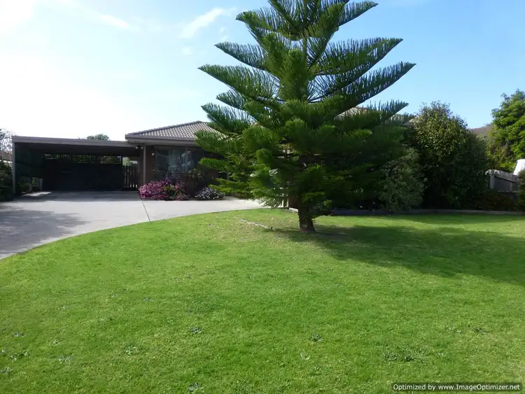 Second view of Homely house listing, 16 Birchwood Court, Bairnsdale VIC 3875