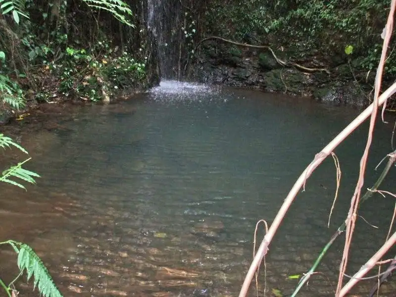 Main view of Homely rural property listing, Address available on request