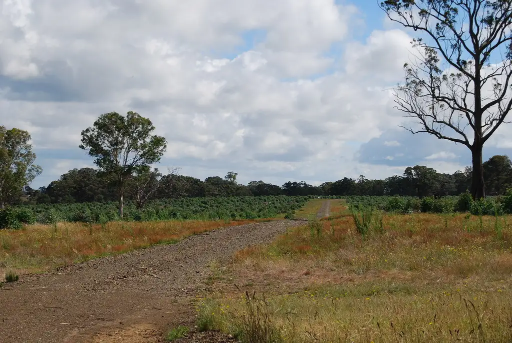 Main view of Homely rural property listing, 85 Fernbank-Stockdale Road, Fernbank VIC 3864