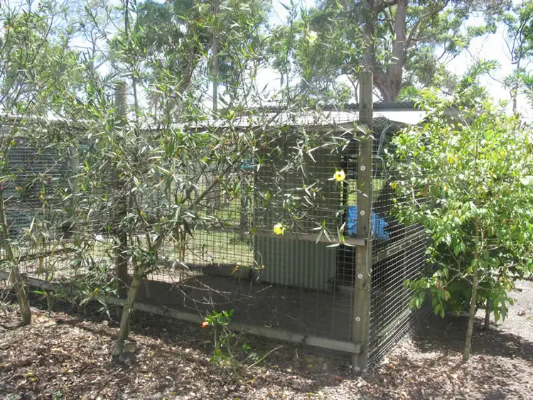 Fifth view of Homely house listing, 714 Euluma Creek Rd, Julatten QLD 4871