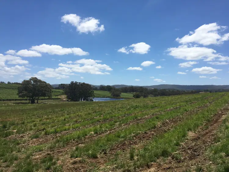 Second view of Homely land listing, Lot 100 Wenzel Road, Oakbank SA 5243