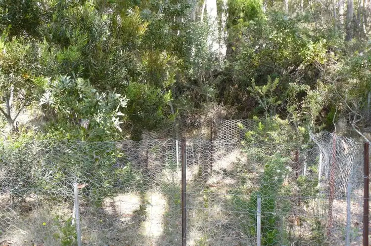 Sixth view of Homely land listing, Lots 4 & 6/80 Blowhole Road, Eaglehawk Neck TAS 7179