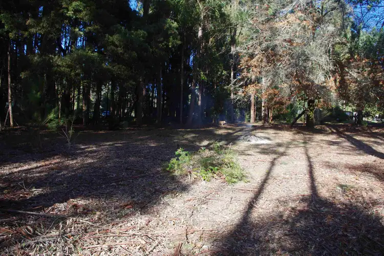 Fourth view of Homely land listing, Lot 132 Karri Lane, Quinninup WA 6258