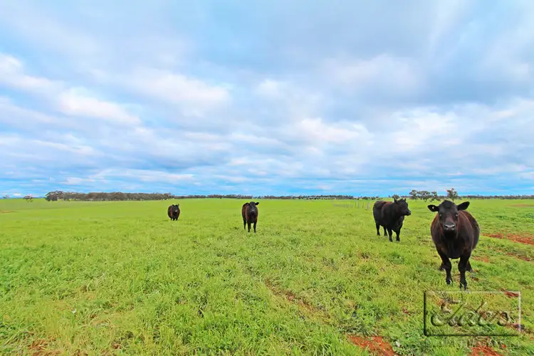 Seventh view of Homely rural property listing, Lot 4A Stoneleigh Road, Marong VIC 3515