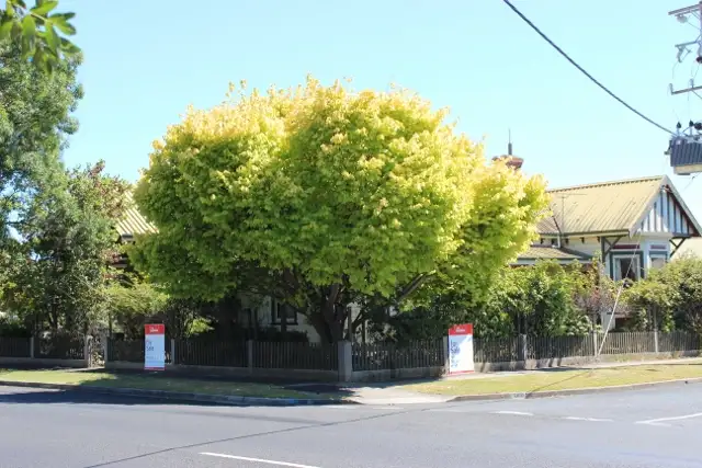 45 Main Street, Ulverstone TAS 7315