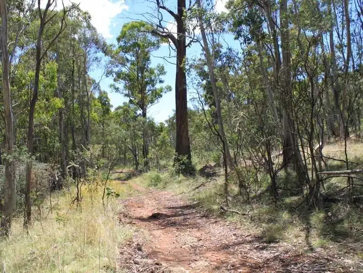 Fifth view of Homely rural property listing, Lot 6 Bradley's Drive, Tumbarumba NSW 2653