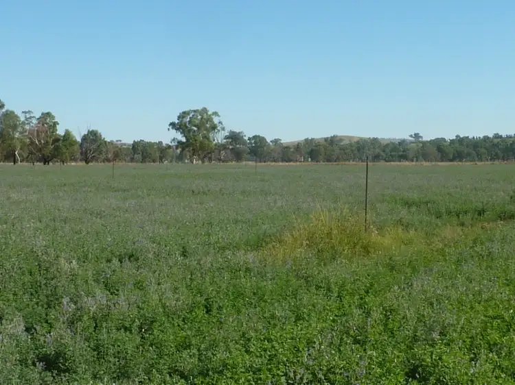 Sixth view of Homely rural property listing, 1528 Sturt Highway, Borambola via, Wagga Wagga NSW 2650