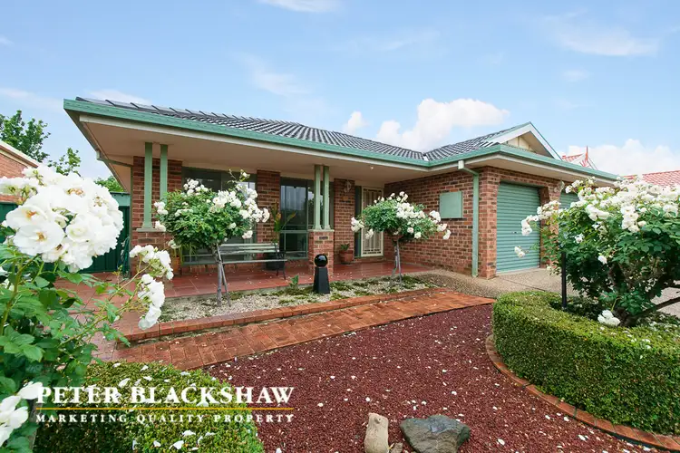 Main view of Homely house listing, 10 Allyn Close, Amaroo ACT 2914