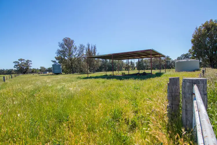 Seventh view of Homely rural property listing, 436 Spring Creek Road, Gulgong NSW 2852