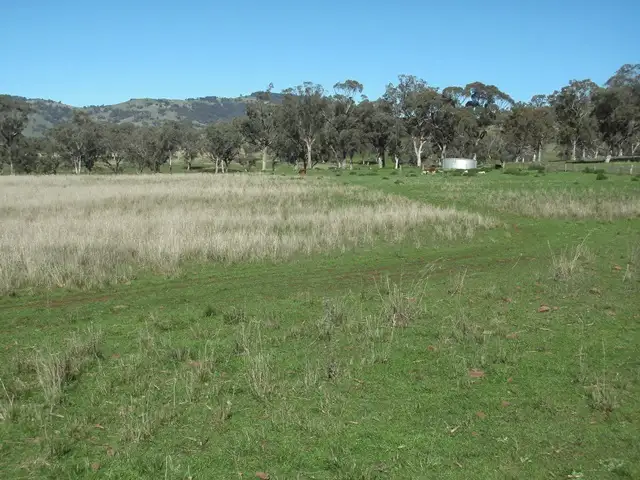 693 Swinging Ridges Road, Ardglen NSW 2338