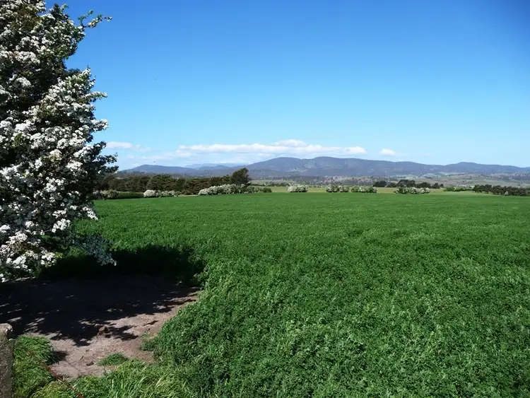 Sixth view of Homely rural property listing, 183 Egerton Road, White Hills TAS 7258