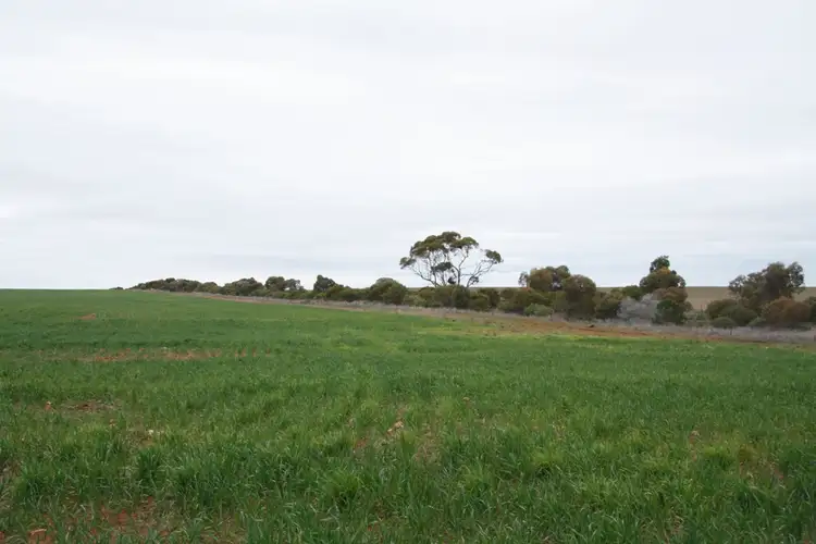 Sixth view of Homely rural property listing, Secs 8 & 19 Hundreds of Allen and Mantung, Caliph SA 5310