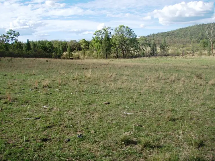 Fifth view of Homely rural property listing, 1095 Bedwell Downs, Wallangra NSW 2360