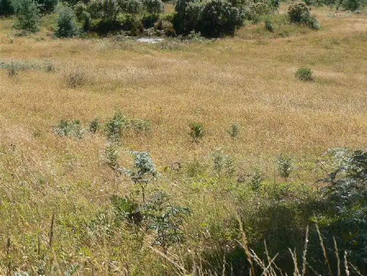 Sixth view of Homely rural property listing, Lot 1 Staverton Road, Promised Land TAS 7306