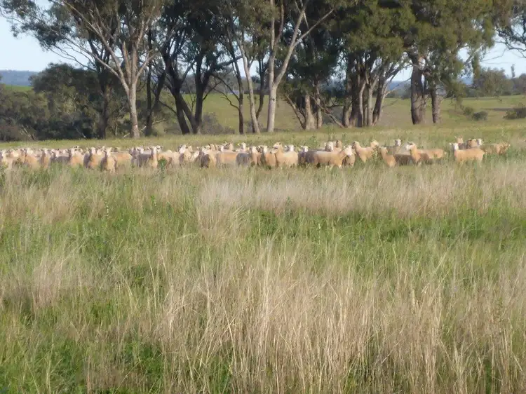 Second view of Homely rural property listing, Address available on request