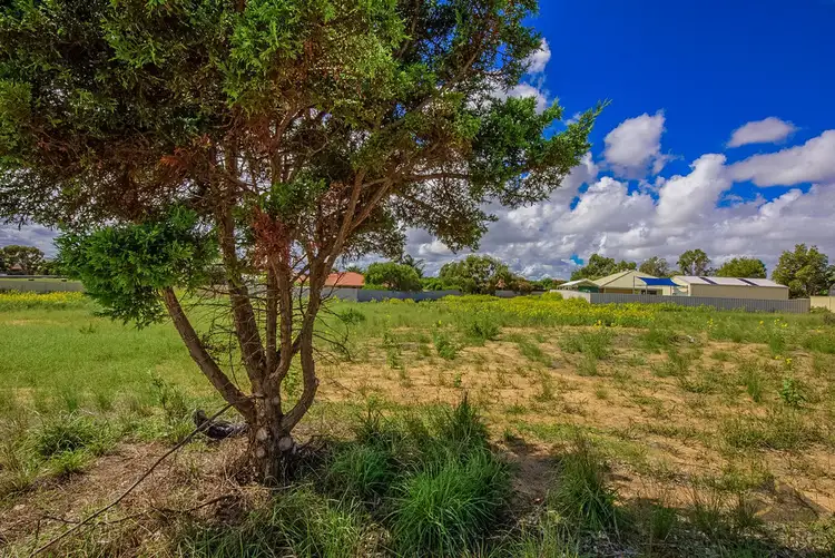 Fifth view of Homely land listing, 37 Abraham Street, Karloo WA 6530