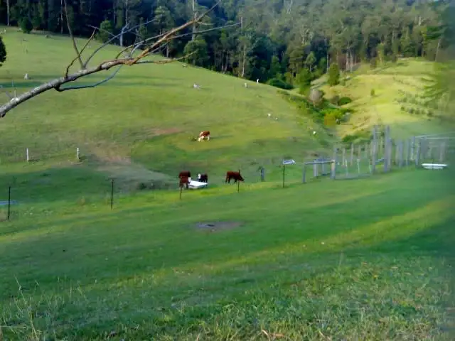 Sixth view of Homely rural property listing, 906 Pipeclay Road, Pipeclay NSW 2446