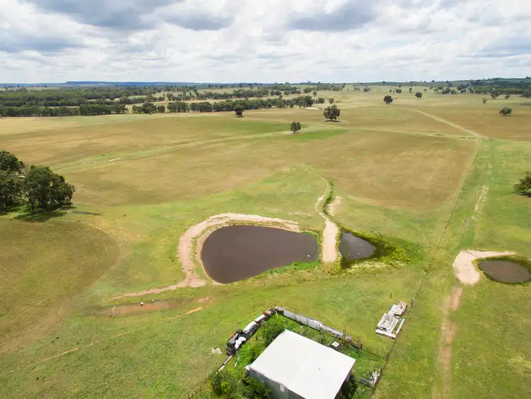 Second view of Homely rural property listing, 305 Blue Springs Road, Gulgong NSW 2852