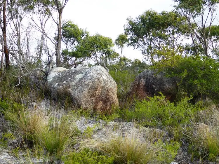 Fourth view of Homely land listing, 1749 Lackrana Road, Lackrana, Flinders Island TAS 7255