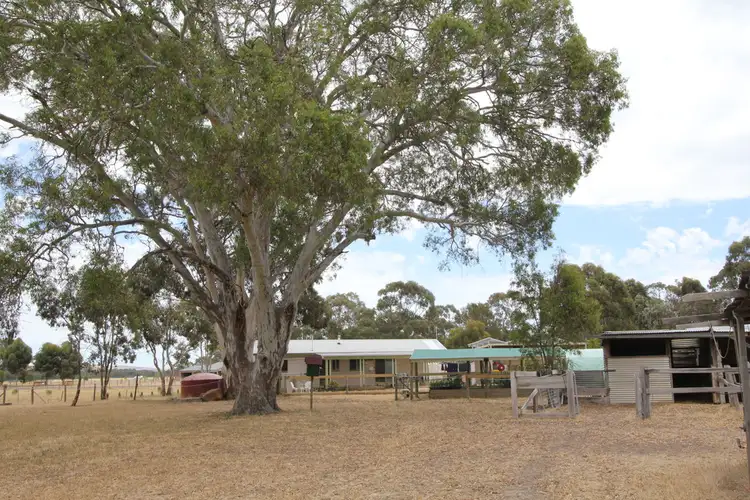 Sixth view of Homely rural property listing, 86 Fairview Drive, Clunes VIC 3370