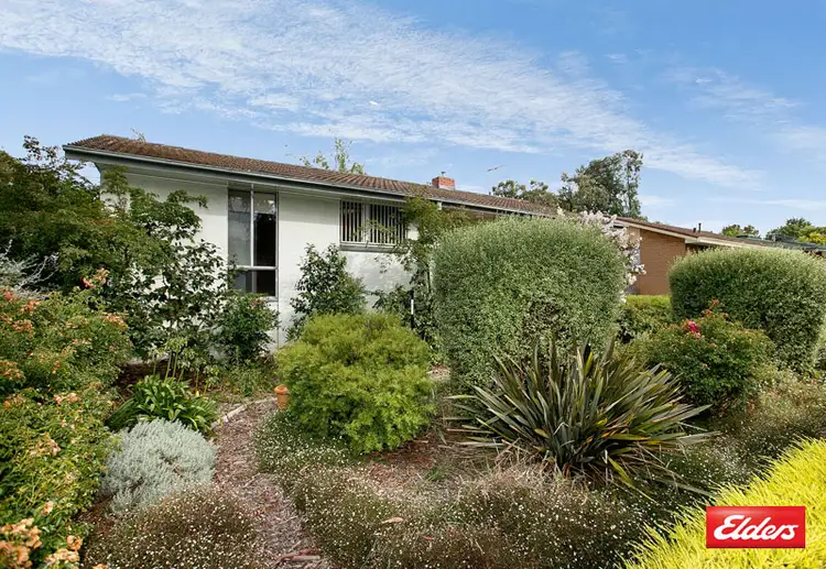 Second view of Homely house listing, 91 Ross Smith Crescent, Scullin ACT 2614