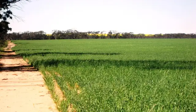 Third view of Homely rural property listing, Address available on request