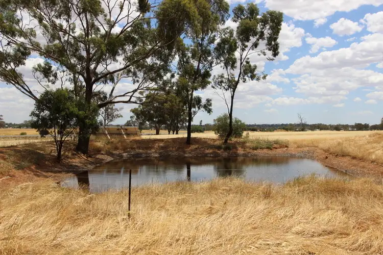 17 Pistol Range Road, Temora NSW 2666