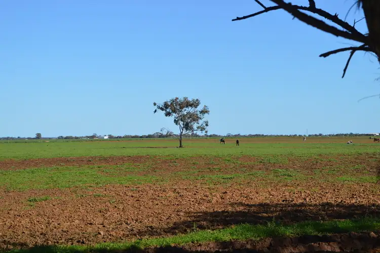 Seventh view of Homely rural property listing, 43 Harvey Road, Two Wells SA 5501