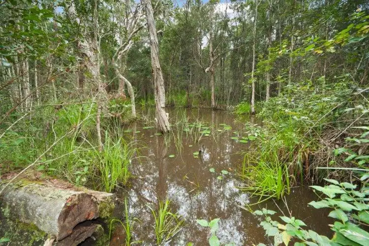 Fourth view of Homely house listing, 8 Campbells Road, Cootharaba QLD 4565