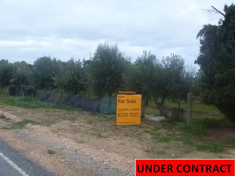 Main view of Homely land listing, 7 Williams Road, Two Wells SA 5501
