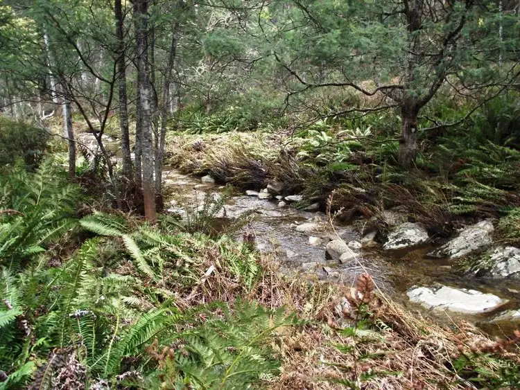 Third view of Homely rural property listing, . Henry Street, Mangana TAS 7214