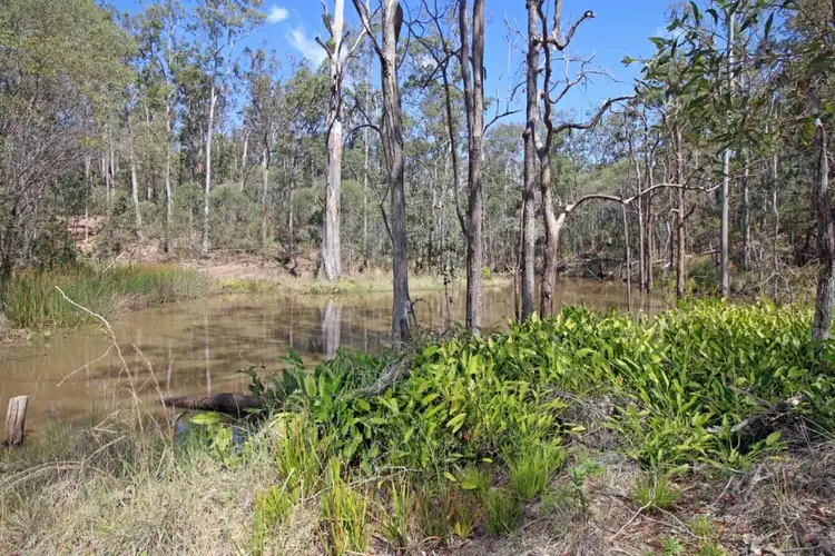 Fourth view of Homely rural property listing, 660 Bruxner Road, Tabulam NSW 2469