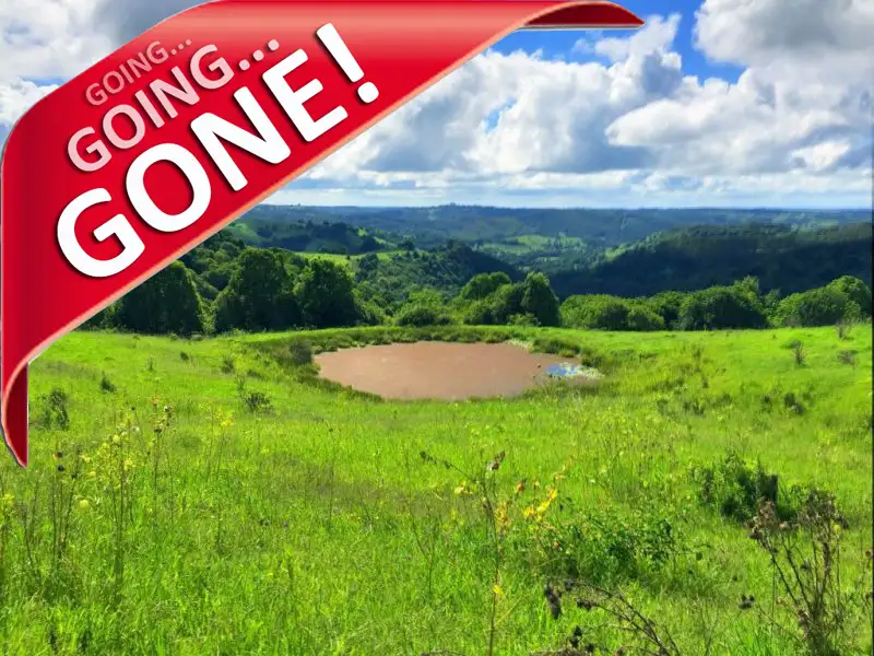 Main view of Homely rural property listing, Lot1/122 Cox Road, Koonorigan NSW 2480