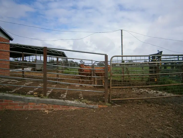 Fifth view of Homely rural property listing, 501 Boyanup Road West, Boyanup WA 6237