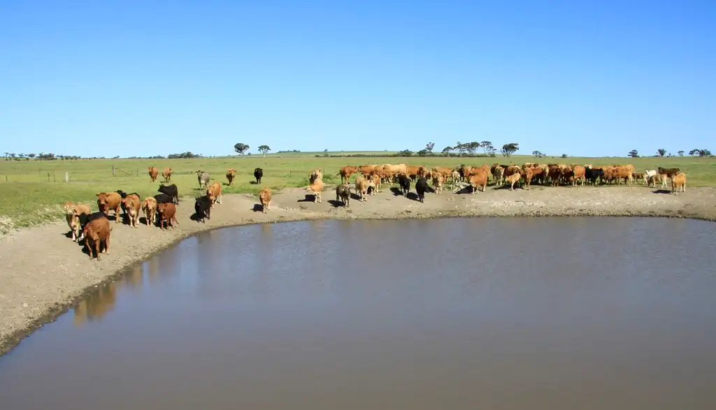 Main view of Homely rural property listing, 3929 Calingiri-Goomalling Rd, Goomalling WA 6460