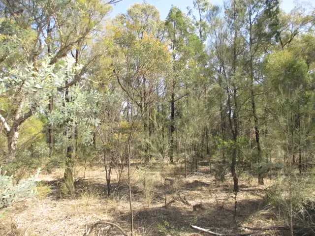 Lot 298 HAPPINESS ROAD, Tara QLD 4421