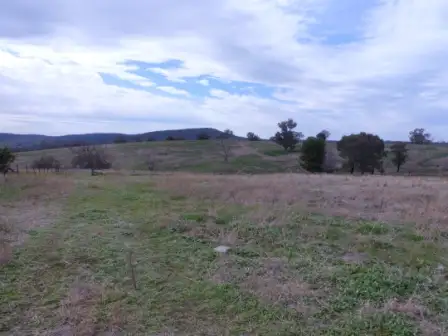 Sixth view of Homely rural property listing, 280 Elliotts Road,Crowther, Young NSW 2594