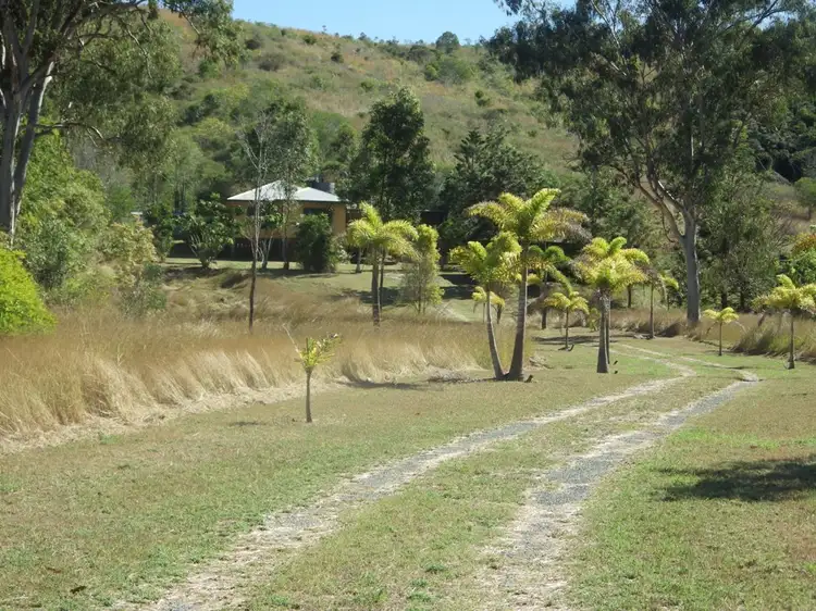 359 DARTS CREEK ROAD, Darts Creek QLD 4695