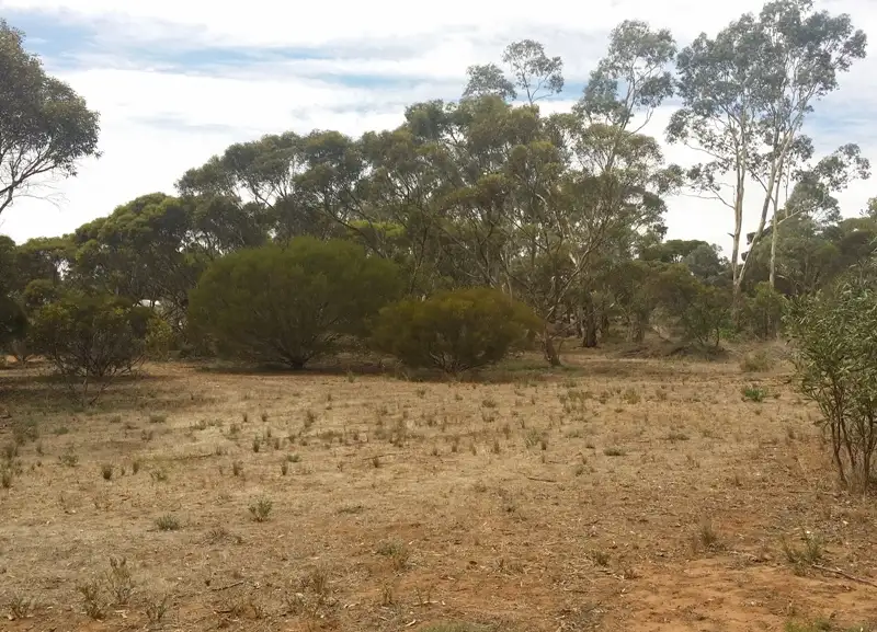 Main view of Homely land listing, Lot 30 Tooma Drive, Murray Bridge SA 5253