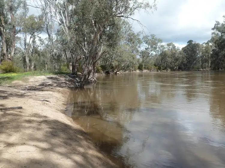 Main view of Homely rural property listing, 0 Koraleigh Road, Koraleigh NSW 2735