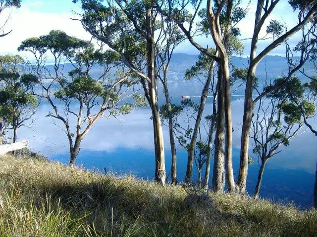 Fourth view of Homely land listing, 30 Youngs Road, Bruny Island TAS 7150